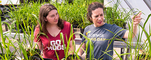 Adair scholar with faculty member Clemencia Rojas looking at plants in a greenhouse
