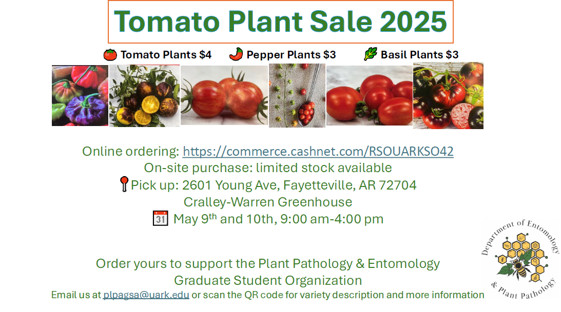 tomato sale flyer